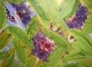 Cornflowers 2